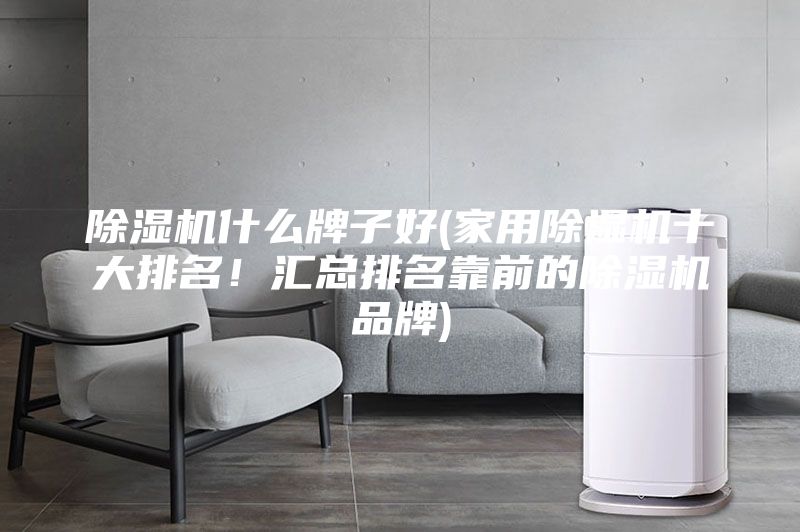 除濕機(jī)什么牌子好(家用除濕機(jī)十大排名！匯總排名靠前的除濕機(jī)品牌)