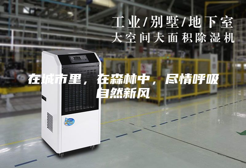 在城市里，在森林中，盡情呼吸自然新風(fēng)