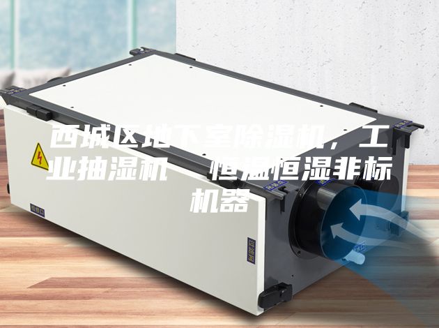 西城區(qū)地下室除濕機，工業(yè)抽濕機  恒溫恒濕非標機器