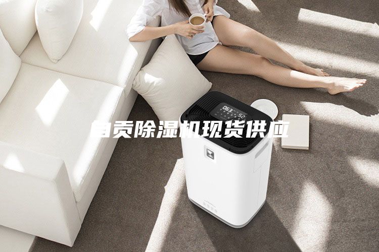 自貢除濕機現(xiàn)貨供應