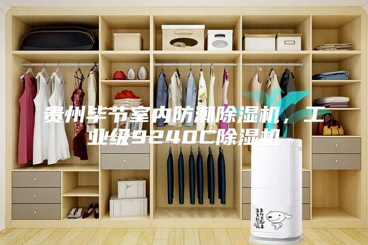 貴州畢節(jié)室內(nèi)防潮除濕機，工業(yè)級9240C除濕機