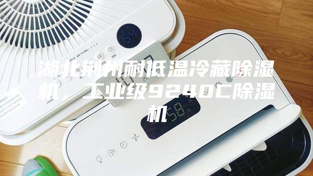 湖北荊州耐低溫冷藏除濕機，工業(yè)級9240C除濕機