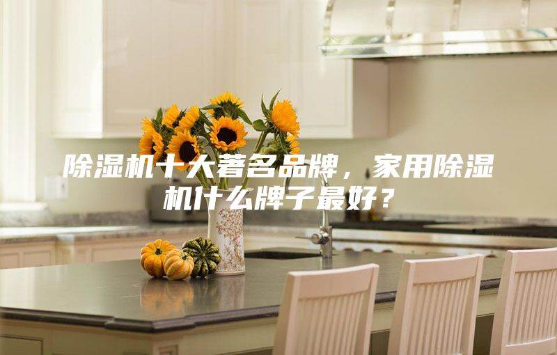 除濕機(jī)十大著名品牌，家用除濕機(jī)什么牌子最好？