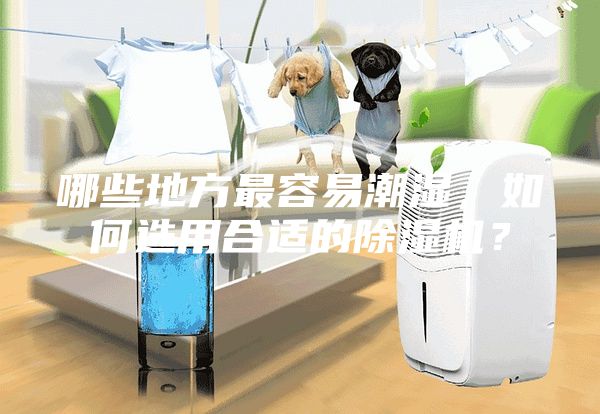 哪些地方最容易潮濕，如何選用合適的除濕機？