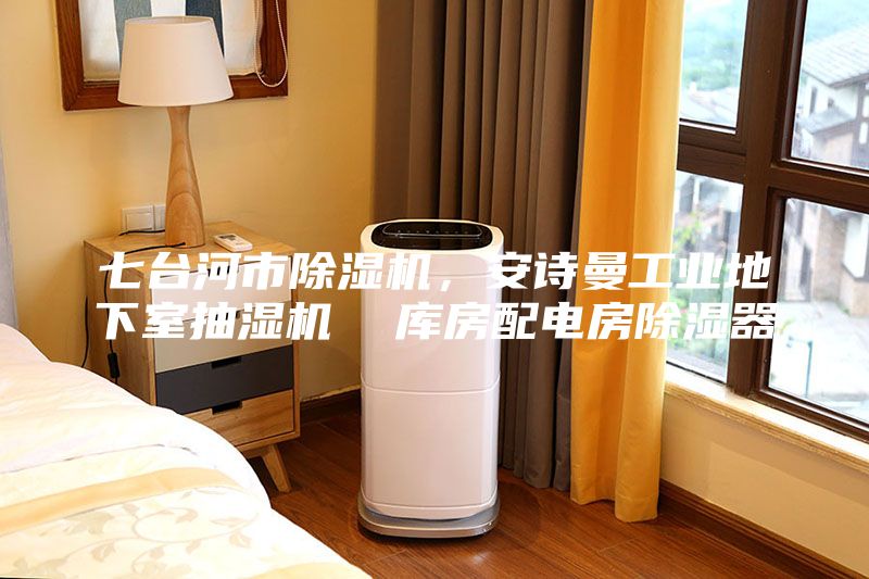 七臺(tái)河市除濕機(jī)，安詩曼工業(yè)地下室抽濕機(jī)  庫房配電房除濕器