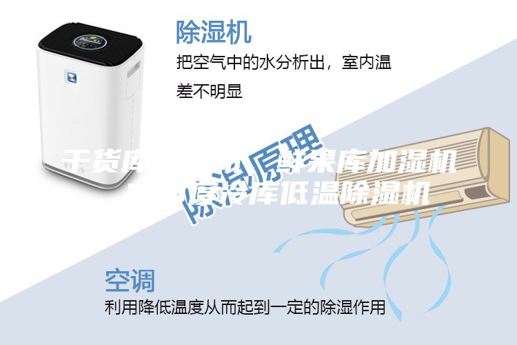 干貨庫除濕機，鮮果庫加濕機，2-8度冷庫低溫除濕機