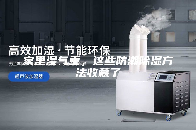 家里濕氣重，這些防潮除濕方法收藏了