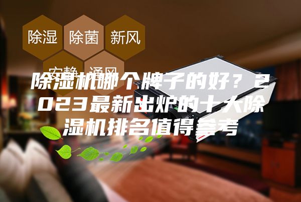 除濕機(jī)哪個(gè)牌子的好？2023最新出爐的十大除濕機(jī)排名值得參考