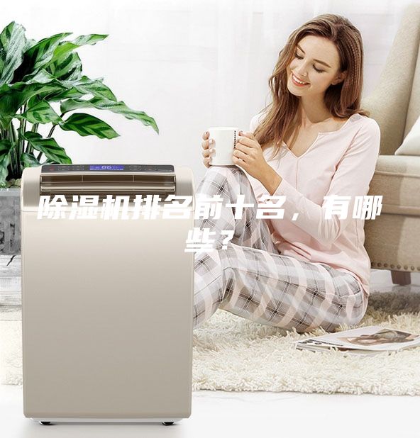 除濕機排名前十名，有哪些？