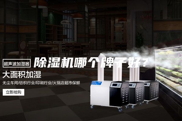 除濕機(jī)哪個(gè)牌子好？