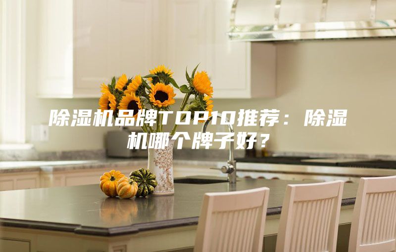 除濕機(jī)品牌TOP10推薦：除濕機(jī)哪個(gè)牌子好？