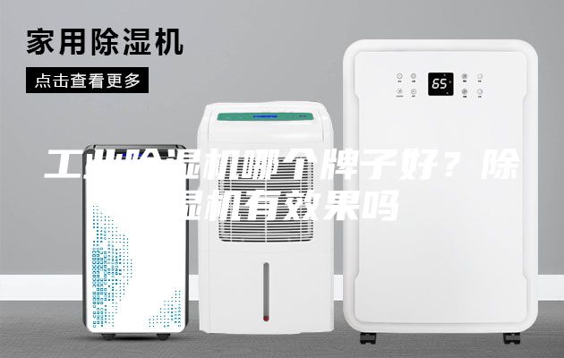 工業(yè)除濕機哪個牌子好？除濕機有效果嗎
