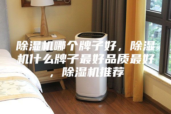 除濕機(jī)哪個(gè)牌子好，除濕機(jī)什么牌子最好品質(zhì)最好，除濕機(jī)推薦