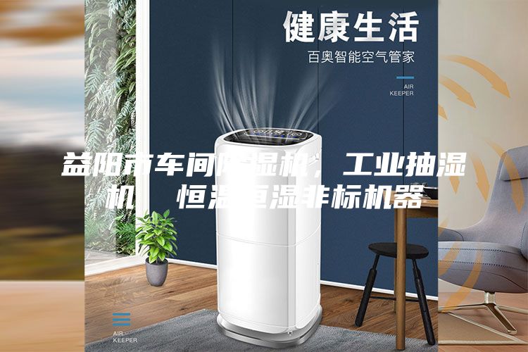 益陽市車間除濕機，工業(yè)抽濕機  恒溫恒濕非標機器