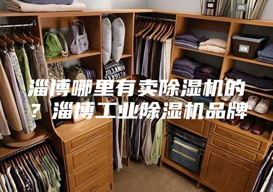 淄博哪里有賣除濕機(jī)的？淄博工業(yè)除濕機(jī)品牌