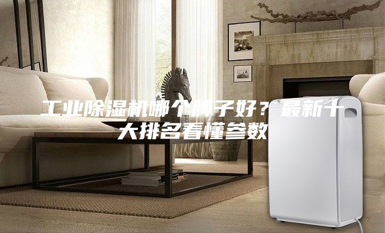 工業(yè)除濕機(jī)哪個(gè)牌子好？最新十大排名看懂參數(shù)