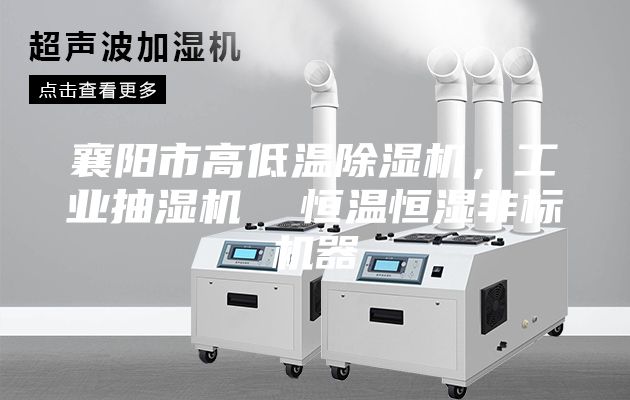 襄陽(yáng)市高低溫除濕機(jī)，工業(yè)抽濕機(jī)  恒溫恒濕非標(biāo)機(jī)器