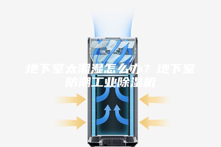 地下室太潮濕怎么辦？地下室防潮工業(yè)除濕機
