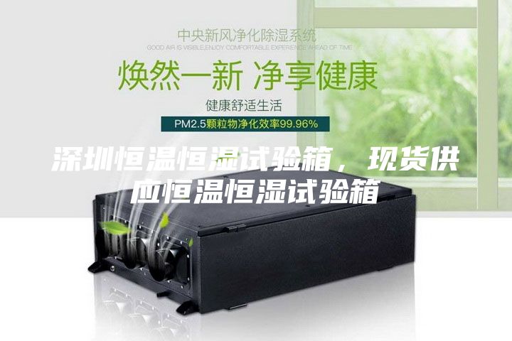 深圳恒溫恒濕試驗箱，現(xiàn)貨供應恒溫恒濕試驗箱
