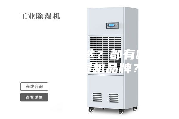 除濕機(jī)怎么選？都有哪些好的除濕機(jī)品牌？