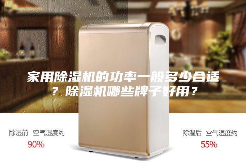 家用除濕機(jī)的功率一般多少合適？除濕機(jī)哪些牌子好用？