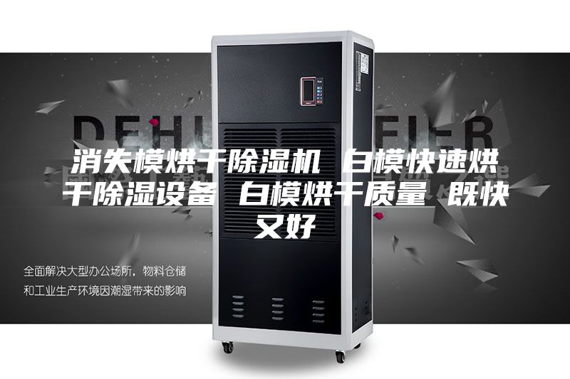 消失模烘干除濕機(jī) 白?？焖俸娓沙凉裨O(shè)備 白模烘干質(zhì)量 既快又好