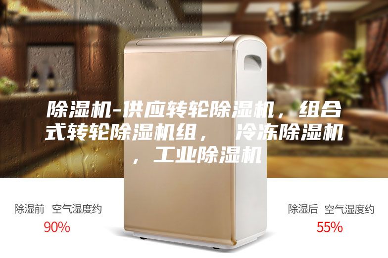 除濕機(jī)-供應(yīng)轉(zhuǎn)輪除濕機(jī)，組合式轉(zhuǎn)輪除濕機(jī)組， 冷凍除濕機(jī)，工業(yè)除濕機(jī)
