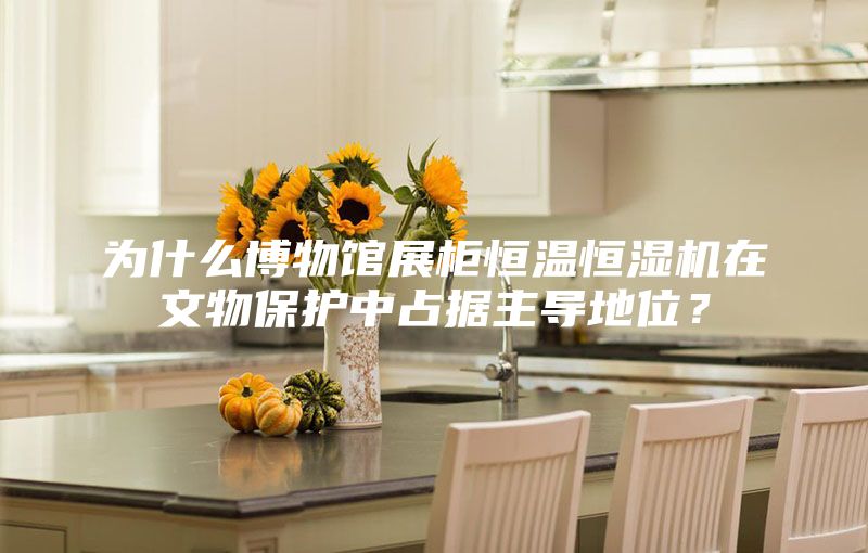 為什么博物館展柜恒溫恒濕機(jī)在文物保護(hù)中占據(jù)主導(dǎo)地位？