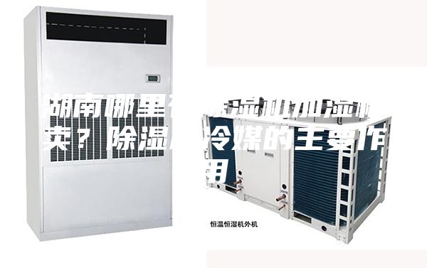 湖南哪里有除濕機加濕機賣？除濕機冷媒的主要作用
