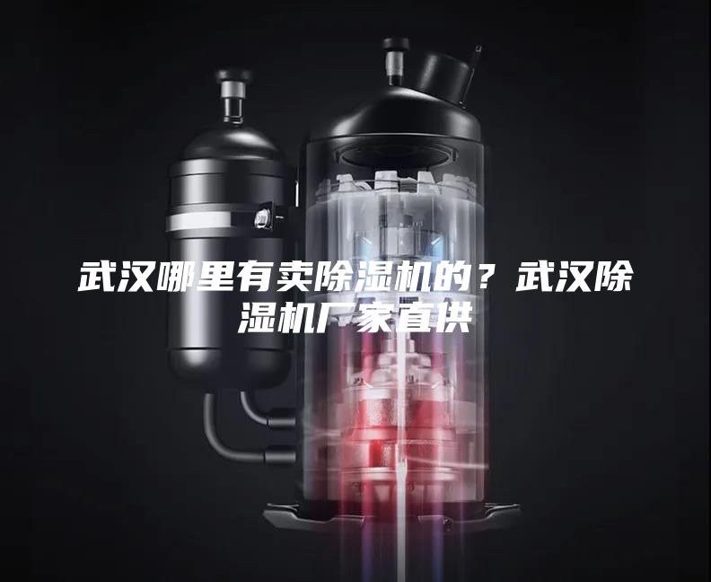 武漢哪里有賣除濕機的？武漢除濕機廠家直供