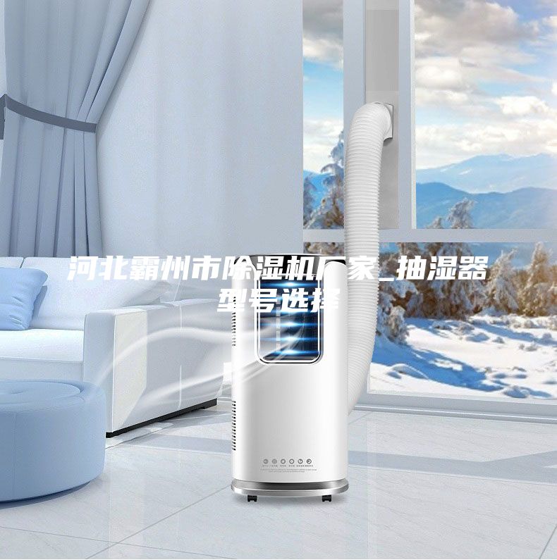 河北霸州市除濕機(jī)廠(chǎng)家_抽濕器型號(hào)選擇