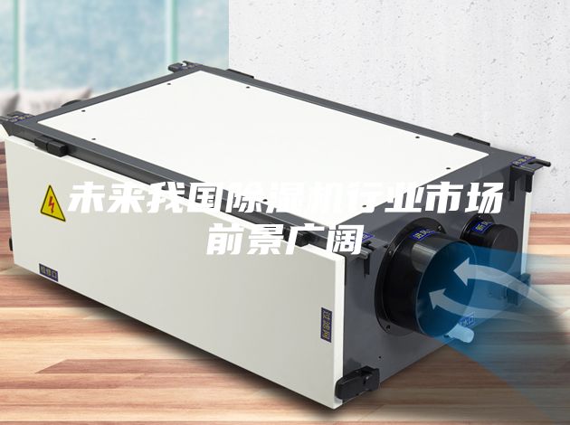 未來(lái)我國(guó)除濕機(jī)行業(yè)市場(chǎng)前景廣闊