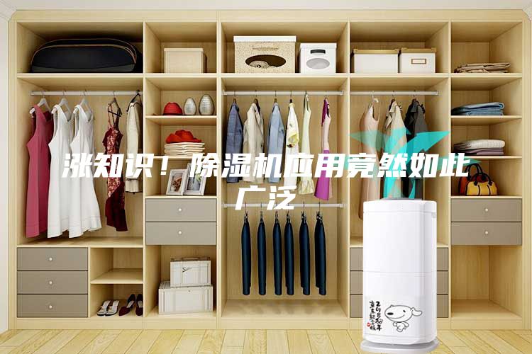 漲知識！除濕機應用竟然如此廣泛
