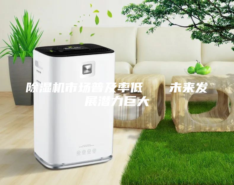 除濕機(jī)市場普及率低   未來發(fā)展?jié)摿薮?/></p>
                            <p style=