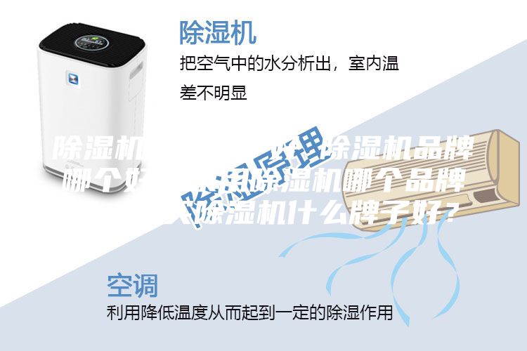 除濕機(jī)哪個(gè)牌子好 除濕機(jī)品牌哪個(gè)好？家用除濕機(jī)哪個(gè)品牌好，想買除濕機(jī)什么牌子好？