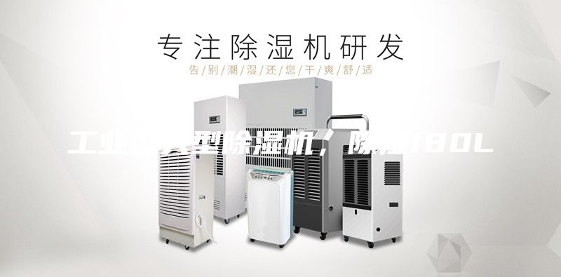 工業(yè)型大型除濕機(jī)，除濕180L