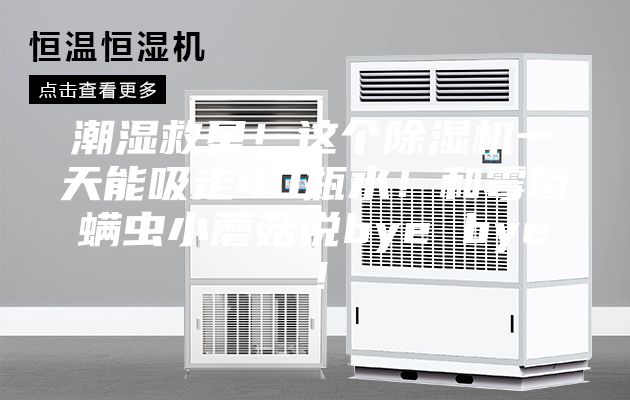 潮濕救星！這個(gè)除濕機(jī)一天能吸走40瓶水！和霉菌螨蟲小蘑菇說bye bye！