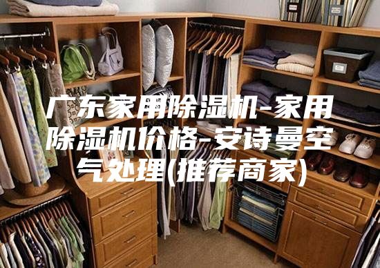 廣東家用除濕機(jī)-家用除濕機(jī)價格-安詩曼空氣處理(推薦商家)