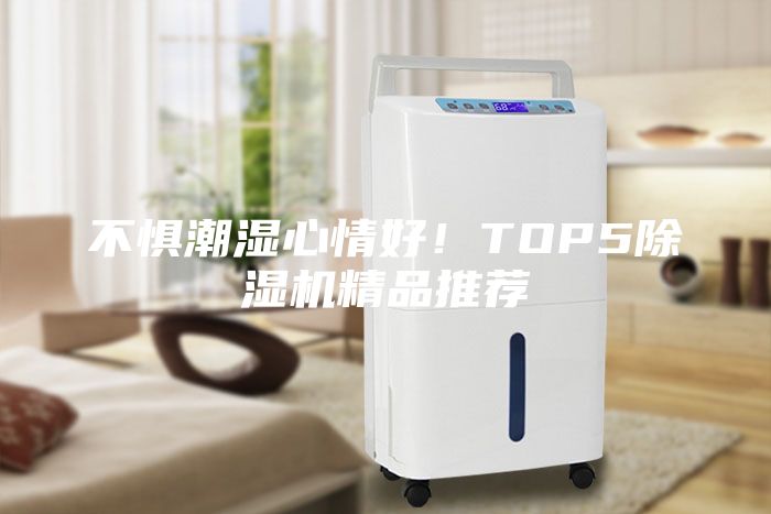 不懼潮濕心情好！TOP5除濕機(jī)精品推薦