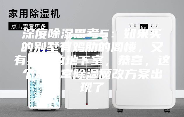 深度除濕思考5：如果買的別墅有雞肋的閣樓，又有操心的地下室，恭喜，這個地下室除濕魔改方案出現(xiàn)了