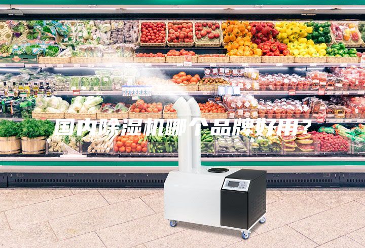 國(guó)內(nèi)除濕機(jī)哪個(gè)品牌好用？