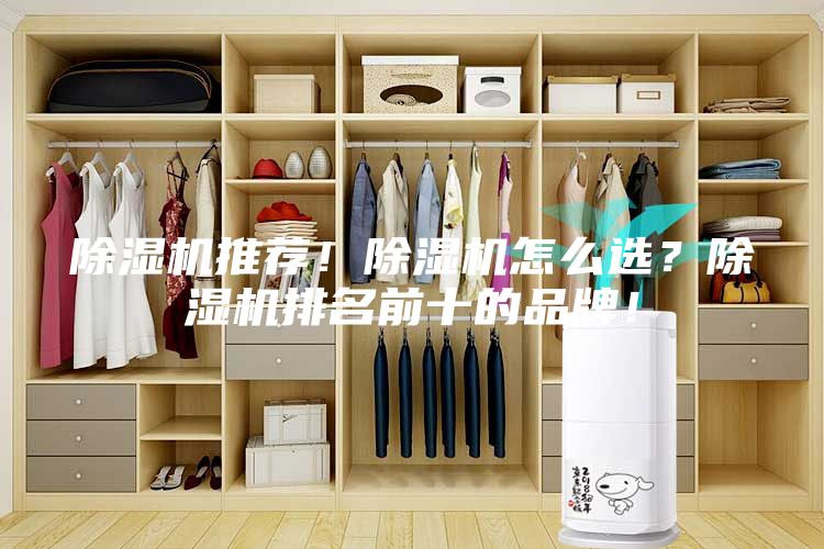 除濕機(jī)推薦！除濕機(jī)怎么選？除濕機(jī)排名前十的品牌！