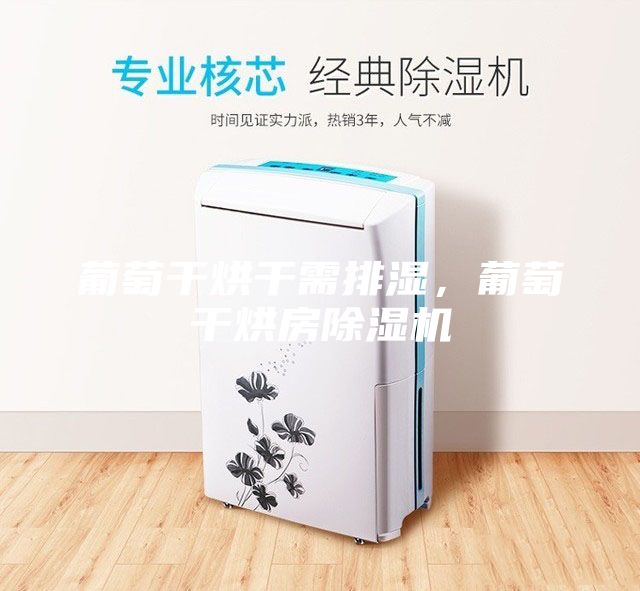 葡萄干烘干需排濕，葡萄干烘房除濕機(jī)
