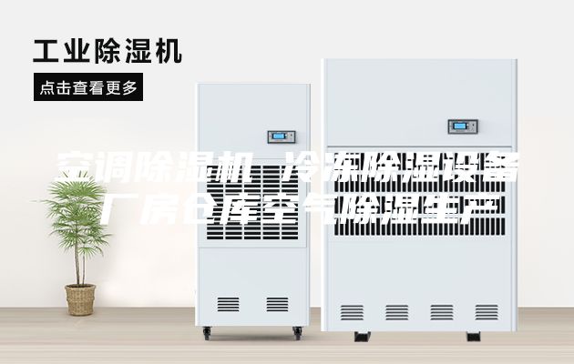 空調除濕機 冷凍除濕設備 廠房倉庫空氣除濕生產(chǎn)