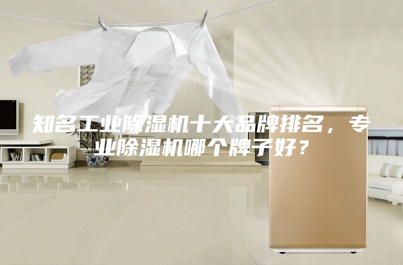 知名工業(yè)除濕機(jī)十大品牌排名，專業(yè)除濕機(jī)哪個牌子好？
