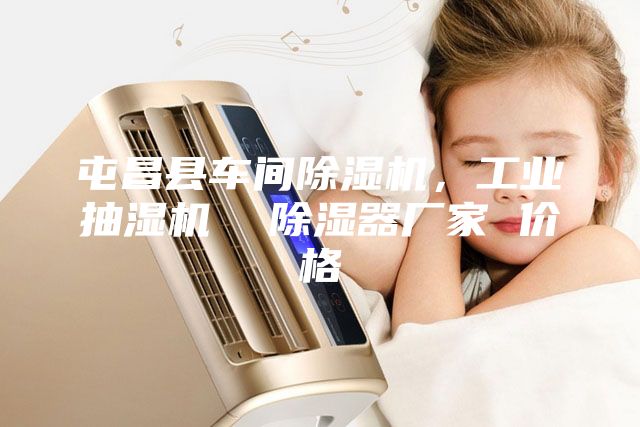屯昌縣車間除濕機(jī)，工業(yè)抽濕機(jī)  除濕器廠家 價(jià)格