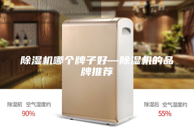 除濕機(jī)哪個牌子好—除濕機(jī)的品牌推薦