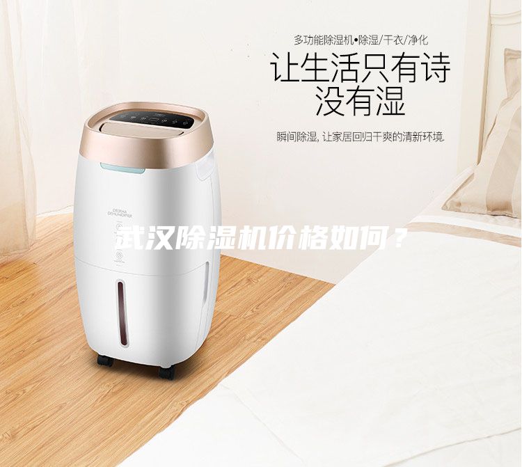 武漢除濕機(jī)價(jià)格如何？
