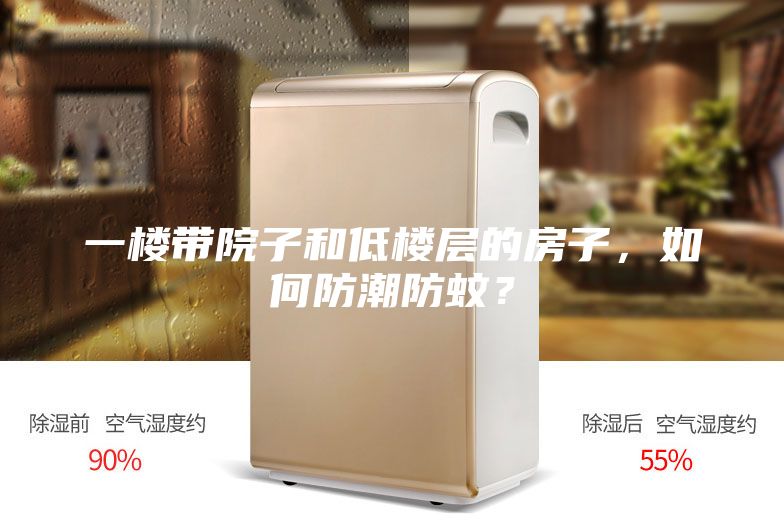 一樓帶院子和低樓層的房子，如何防潮防蚊？