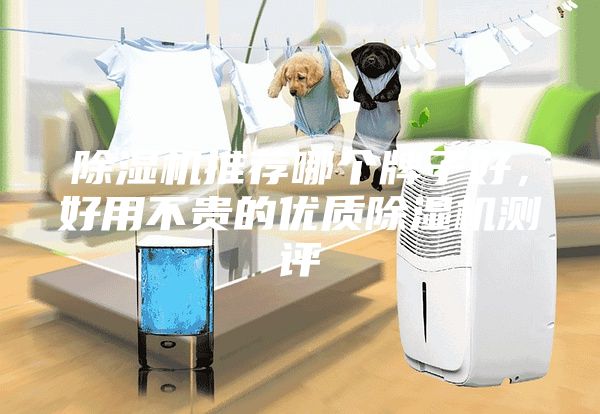 除濕機(jī)推薦哪個(gè)牌子好，好用不貴的優(yōu)質(zhì)除濕機(jī)測評